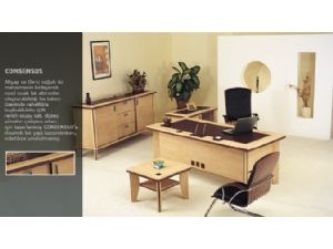 Ofis ve okul mobilyalar